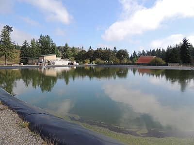 Waste activated sludge is pumped into this pond for bacteria to munch on