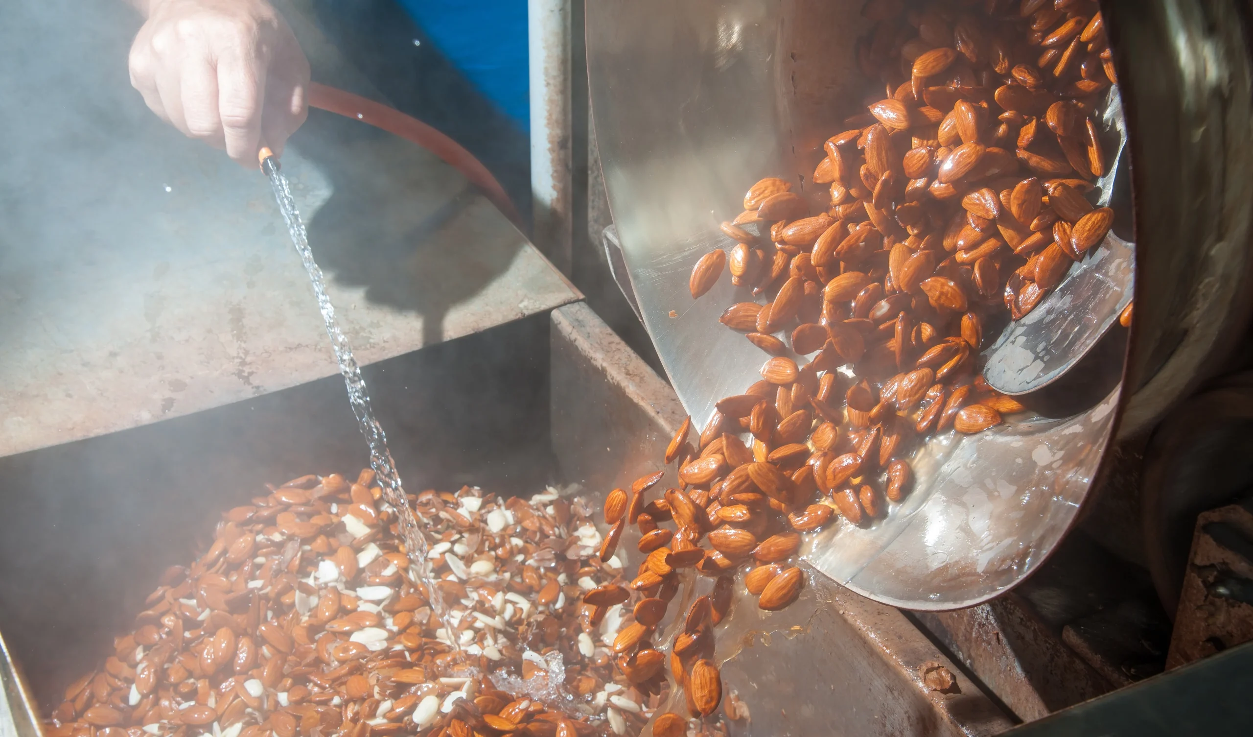 Almond Mild Production