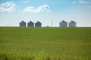 Agriculture Industry